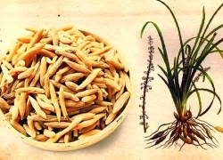 4 món ăn bài thuốc nhuận phế thanh táo thích hợp trong mùa thu