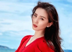 Đúng 20h hôm nay, Chủ Nhật 26/10/2025, 3 con giáp hưởng phúc Tổ Tiên, tiền bạc ùn ùn chui vào túi, vượng vận quý nhân, giàu có ngút trời