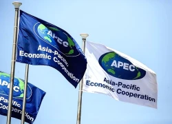 Khai mạc Tuần lễ Cấp cao APEC