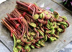 Một loại rau 'đặc sản' chứa độc tố gây ung thư