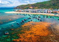 Quy Nhơn vào top 25 điểm đến hàng đầu thế giới 2026