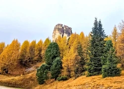 Sắc thu vàng tại vùng núi Cinque Torri ở Ý