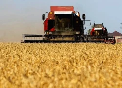 Ba Lan, Hungary và Slovakia phản đối Brussels về thương mại với Ukraine