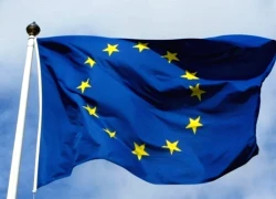 Các quốc gia EU kêu gọi cải cách quy định công nghiệp