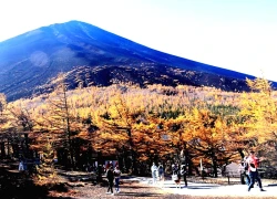 Đến Phú Sĩ, tìm lại sự cân bằng cho tâm hồn ở ngọn núi thiêng