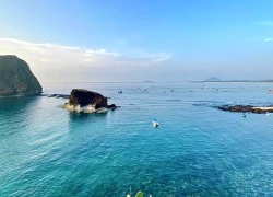 Đồi Tím Phú Yên: Khám phá ngọn đồi tím mộng mơ xứ Nẫu