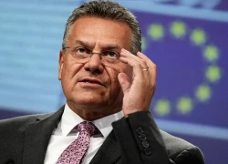 Trung Quốc tạm hoãn kiểm soát xuất khẩu đất hiếm một năm với EU