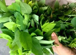 Loại rau được khuyên ăn thay đạm động vật, nhiều sắt hơn cả thịt bò