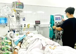 Nhiều người nhập viện vì rắn cắn