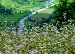 Tháng 11 đi đâu chơi gì?