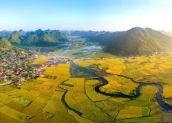 Vẻ đẹp Quỳnh Sơn - ngôi làng Việt tỏa sáng trên bản đồ du lịch thế giới