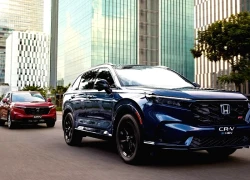 Sắp có thêm xe hybrid được lắp ráp tại Việt Nam