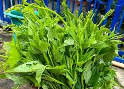 4 tác dụng bất ngờ của rau lang