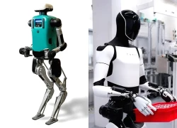 6 công ty robot hình người đang thay đổi tương lai thế giới