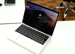 Bản lề MacBook Pro M5 kêu cót két sau 2 tuần sử dụng: Apple coi là "bình thường"