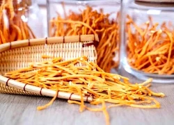 Đông trùng hạ thảo có nên uống thường xuyên?