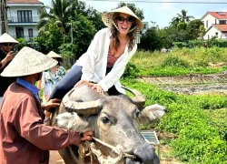 Du lịch Việt Nam: Khám phá 4 mùa trải nghiệm khác biệt