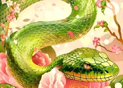 Đừng đánh giá thấp, 3 con giáp này nói ít nhưng ẩn chứa trí tuệ lớn, tiền tài danh vọng cứ thế đổ về