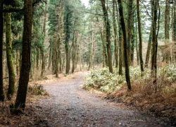 Hoạt động "cắm trại và nướng thịt" đe dọa những đỉnh núi lửa tuyệt đẹp tại Jeju