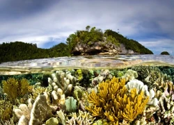 Hòn đảo xa xôi ở phía đông Indonesia "đốn tim" những du khách thích phiêu lưu mạo hiểm