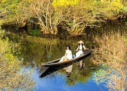 Huế phủ xanh thêm rừng Rú Chá, tạo "tấm khiên sinh thái" trước biến đổi khí hậu