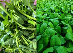 Loại rau thả lẩu hải sản khiến bổ dưỡng hơn, thơm ngon khó cưỡng, ngăn ngừa hấp thu chất béo