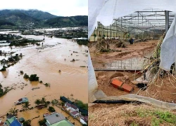 Lũ cuốn trôi 'thủ phủ' rau Lâm Đồng