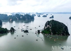 Lý giải động lực khiến lượng khách Australia đến Việt Nam tăng mạnh