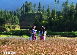 Mùa hoa đánh thức bước chân về miền cực Bắc Tổ quốc