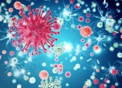 Người lớn cũng có nguy cơ cao nhiễm virus hợp bào hô hấp