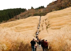 Nhật Bản được bình chọn 'Quốc gia hấp dẫn nhất thế giới' ba năm liên tiếp