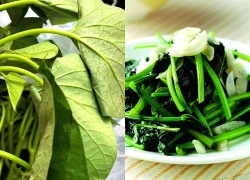 Nhiều người chỉ ăn củ cây này, nhưng phần lá mới là "báu vật", đem xào tỏi trôi cơm vô cùng
