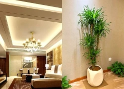 Ông bà truyền lại: 3 thứ phải để cao, 3 thứ phải để thấp để tài khí thông suốt, tiền bạc dễ vào nhà