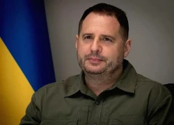 Trợ lý hàng đầu của Tổng thống Zelensky từ chức giữa cuộc điều tra tham nhũng