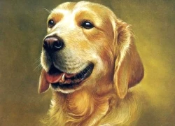 Tử vi 12 con giáp thứ Sáu ngày 28/11/2025: Tài lộc khởi sắc, vận trình chuyển biến