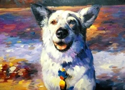 Tử vi 3 con giáp may mắn nhất thứ Hai (1/12): Tiền của đầy nhà, vận may tăng vọt