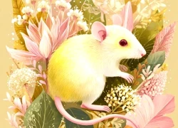 Tử vi 3 con giáp may mắn nhất thứ Sáu (28/11): Tiền đổ vào nhà không đếm xuể