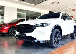 Xe điện tạo đà cho phân khúc SUV cỡ C bứt phá doanh số