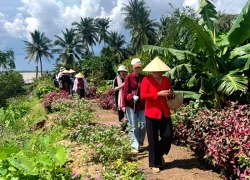 [Ảnh] Khám phá Cồn Hô bên dòng sông Cổ Chiên