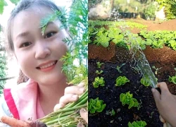Bỏ phố về quê trồng rau, 9X tìm thấy bình yên giữa nắng gió Tây Nguyên