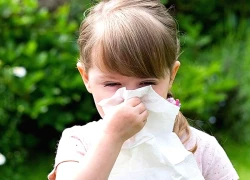 Đánh bay các biểu hiện khó chịu khi chảy nước mũi