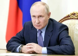 Động thái của Tổng thống Putin khi Ukraine dồn dập tấn công cơ sở dầu Nga