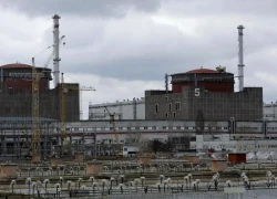 IAEA hợp tác với cả Nga, Ukraine về các nhà máy điện hạt nhân