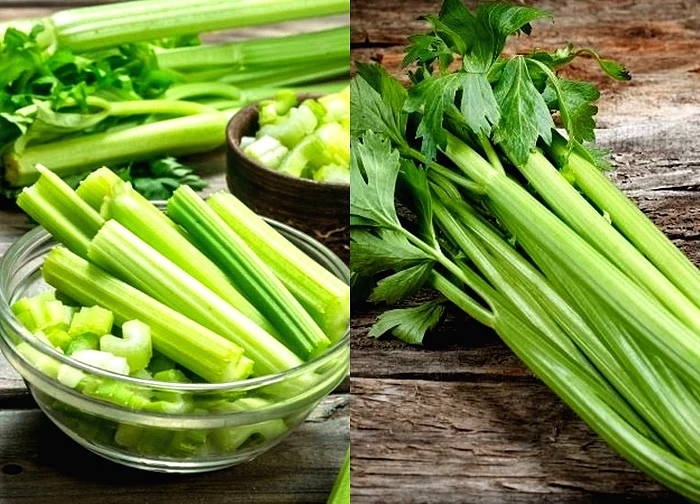 Khám phá công dụng bất ngờ của rau cần tây