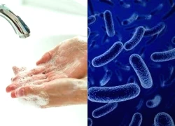 Lỵ trực trùng có nguy hiểm không?