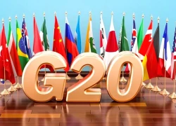 Nam Phi sẵn sàng cho Hội nghị thượng đỉnh G20