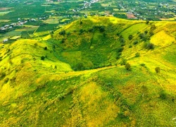 Sắp diễn ra tuần lễ hoa dã quỳ tại núi lửa Chư Đăng Ya