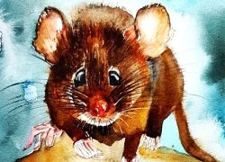 Sau ngày 15/9 Âm lịch, 3 con giáp tiền tài rộng mở, giàu càng thêm giàu