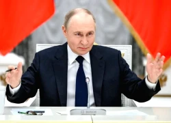 Tổng thống Nga chỉ thị nghiên cứu tính khả thi của đề xuất thử hạt nhân