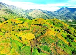 Tuần lễ hoa dã quỳ-Núi lửa Chư Đang Ya 2025: Điểm nhấn văn hóa du lịch Gia Lai